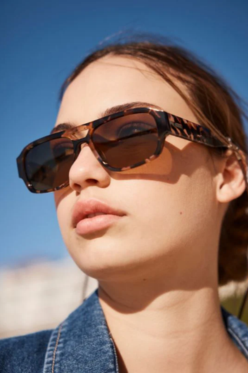 atlas - pebble brown