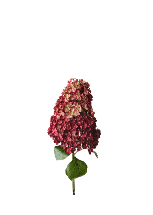 hydrangea cone 104cm