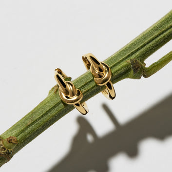 nature's knot earring - yellow gold