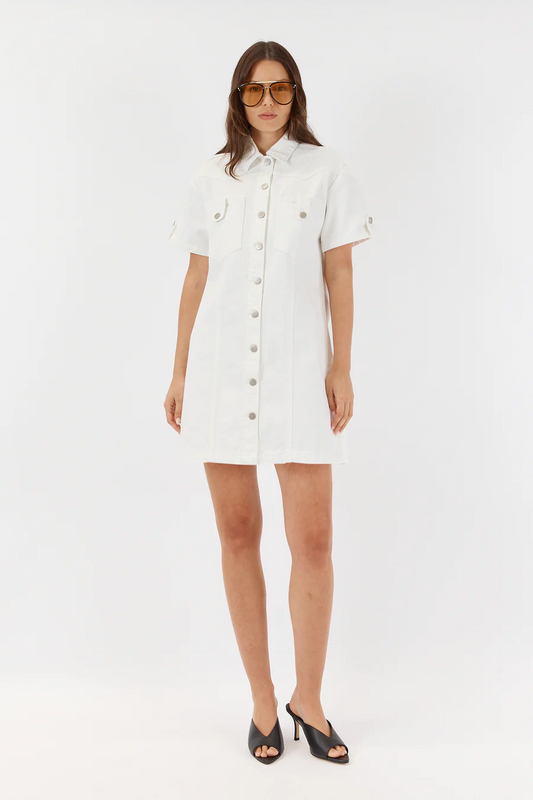 sarah boxey denim dress