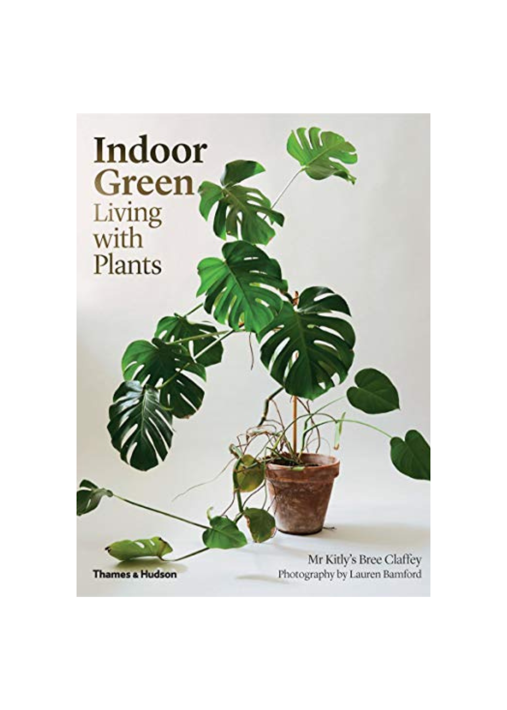 indoor green