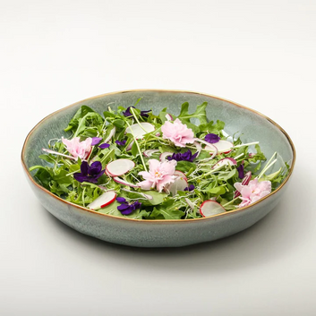 ariel salad bowl